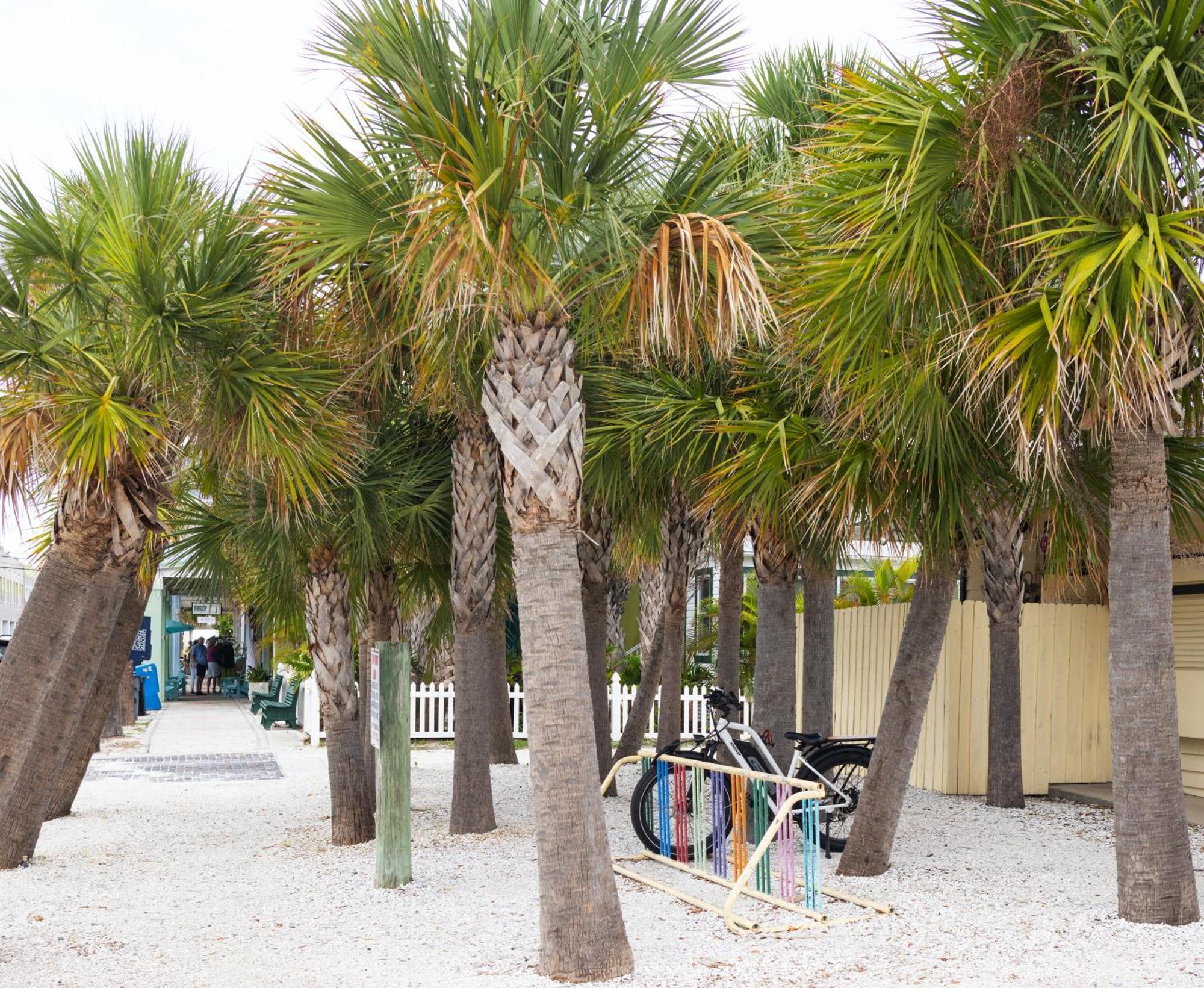 The Hotel Zamora St. Pete Beach Eksteriør bilde