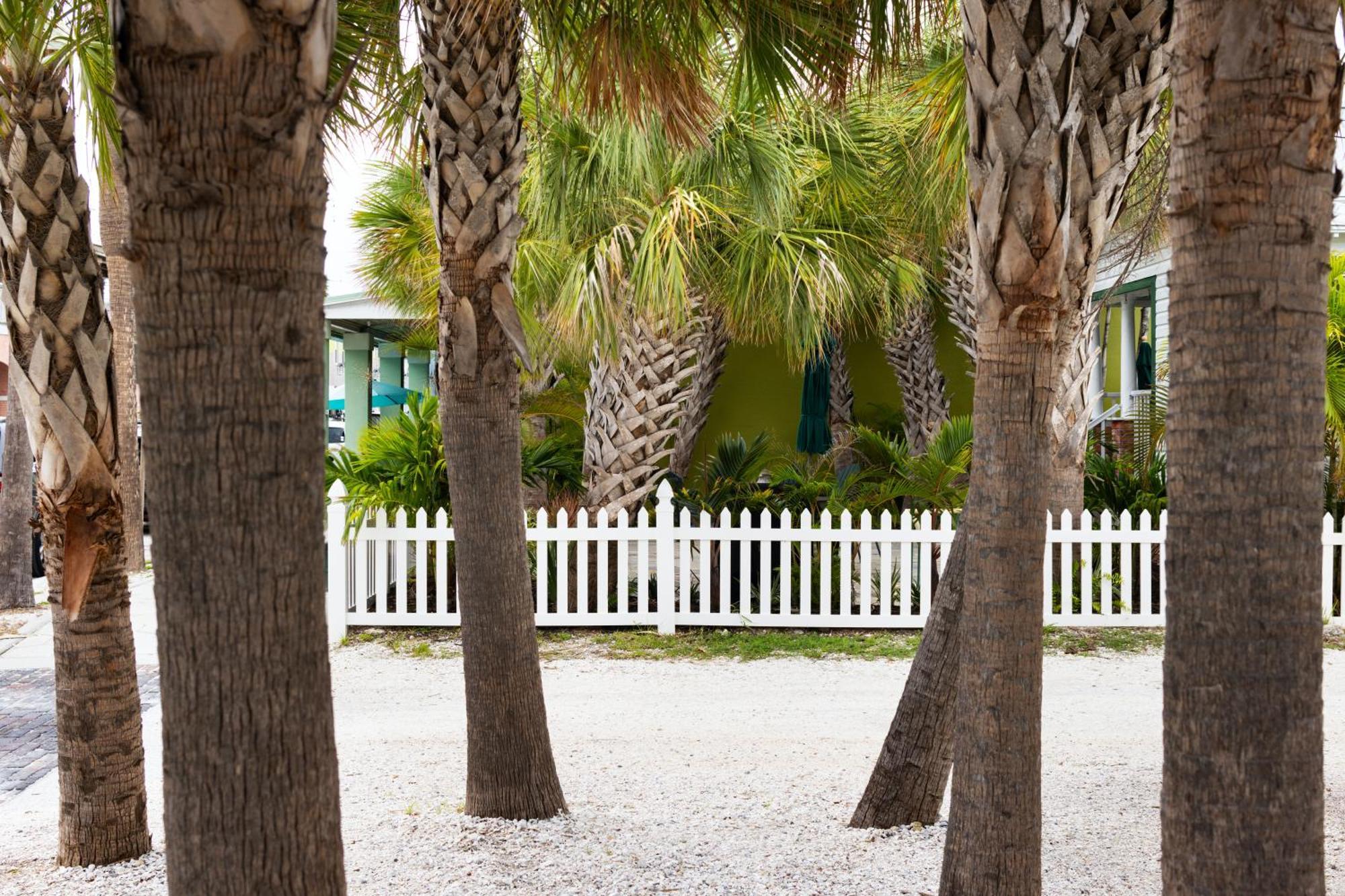 The Hotel Zamora St. Pete Beach Eksteriør bilde